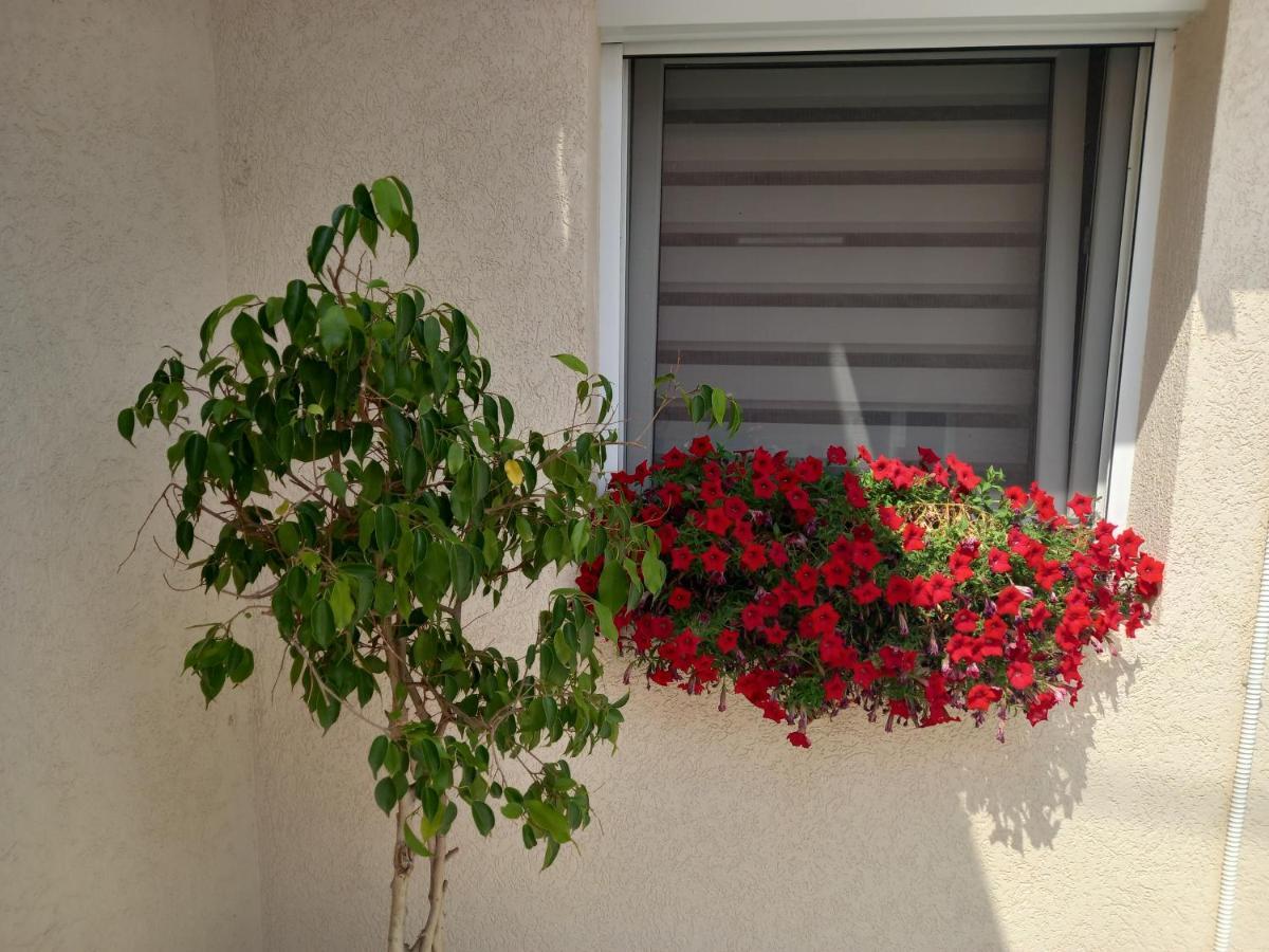 סמדרבו Leda Apartmani מראה חיצוני תמונה