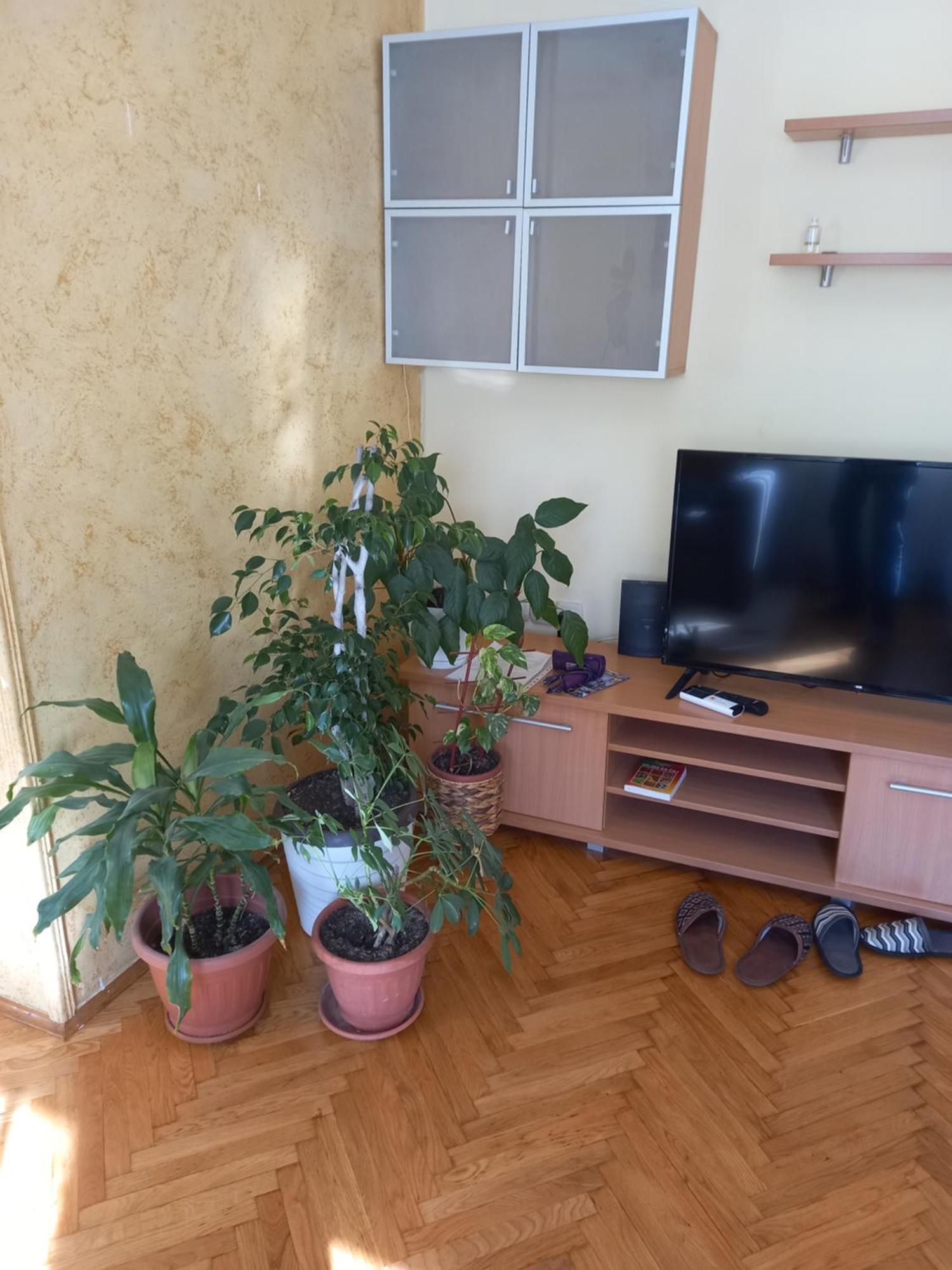 סמדרבו Leda Apartmani מראה חיצוני תמונה